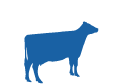 cattle Hydration Products