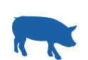 swine Hydration Products