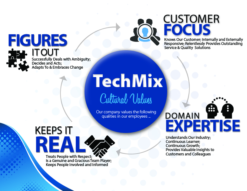 Cultural Values Graphic for TechMix