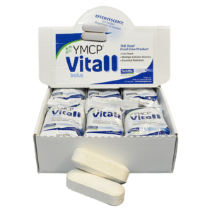 YMCP Vitall 12ct