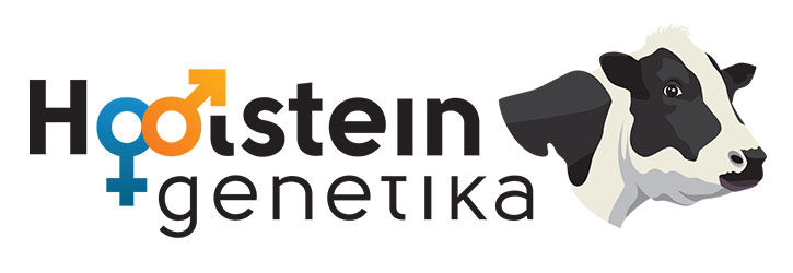 Hoolstein genetika logo