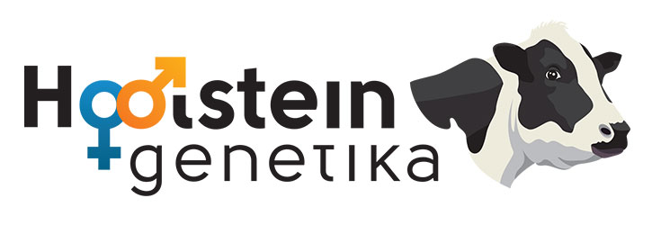 Hoolstein Genetika logo