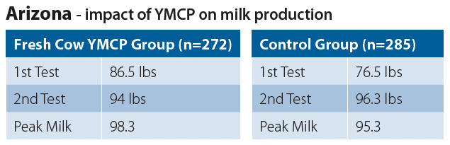 Arizona impact of YMCP on milk production table