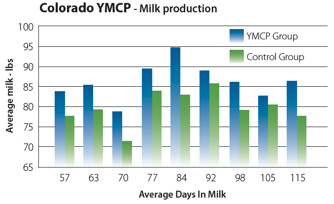 Colorado YMCP Milk Production graph