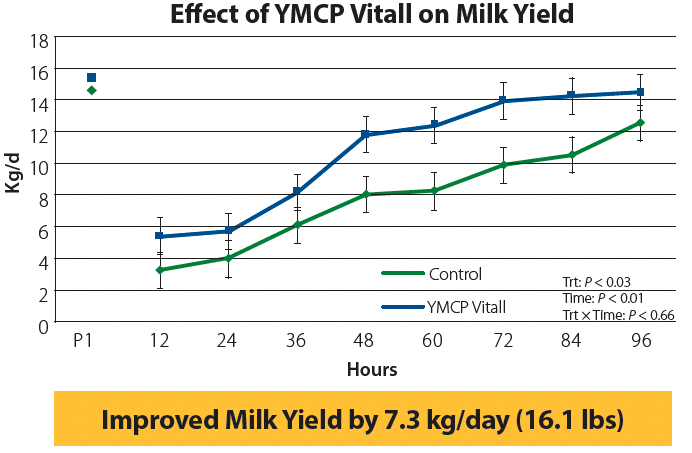 Effect of YMCP Vitall on Milk Yield graph