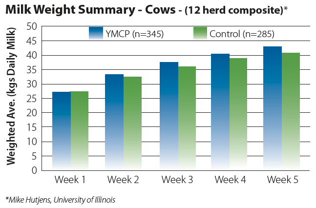 Milk Weight Summary Cows graph