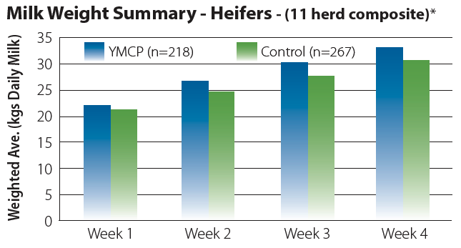 Milk Weight Summary Heifers graph