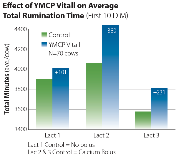 Effect of YMCP Vitall on Average Total Rumination Time graph