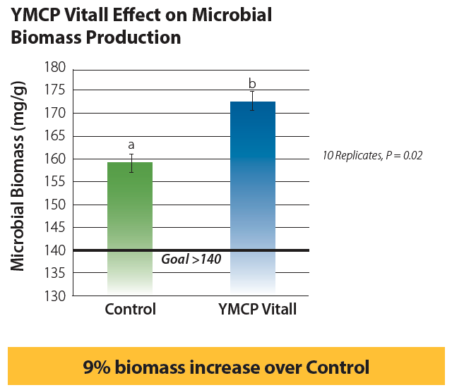 YMCP Vitall Effect on Microbial Biomass Production graph