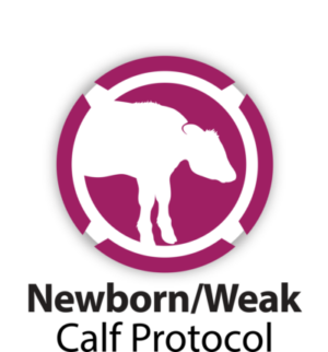 Newborn/Weak Calf Protocol logo