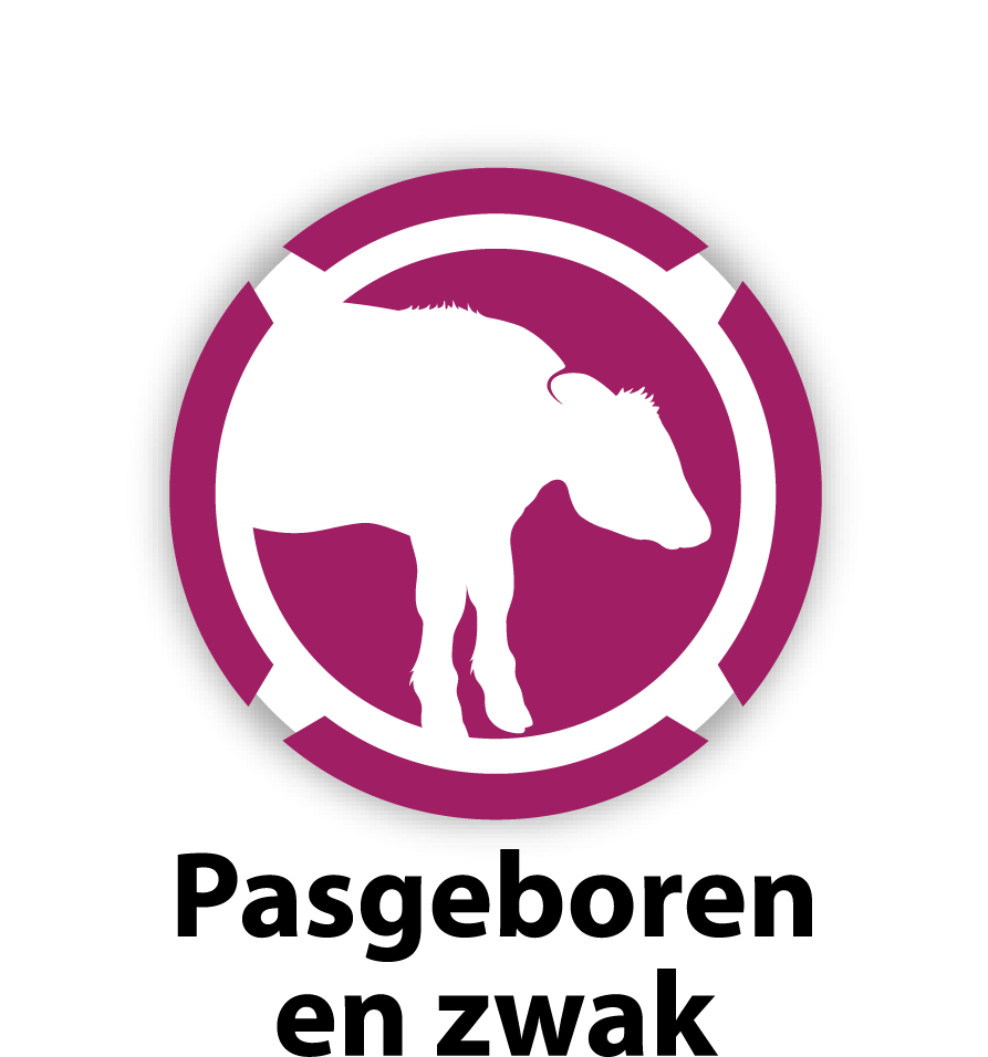 Newborn/Weak Calf Protocol logo