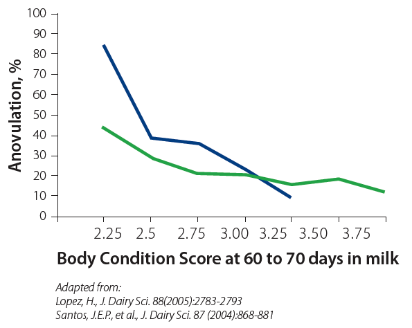 Body Condition Score graph