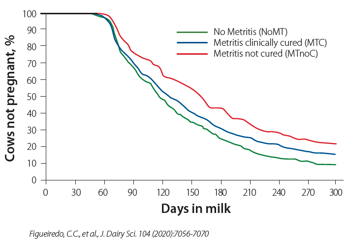 Days in Milk graph