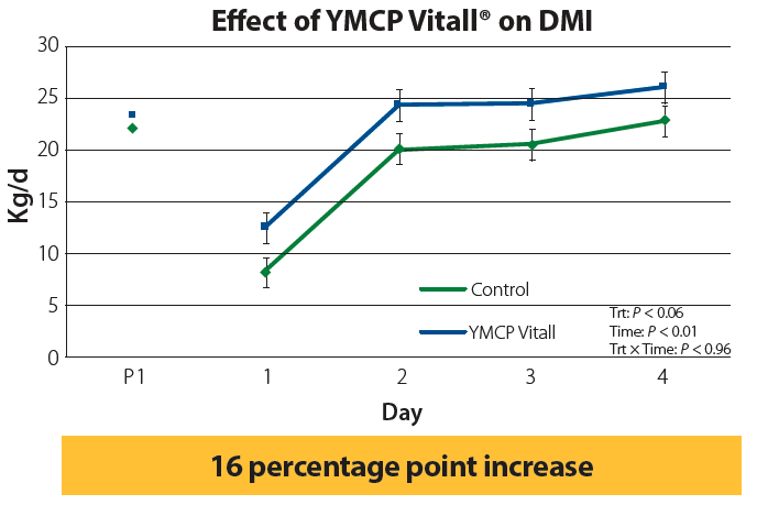 Effect of YMCP Vitall on DMI graph