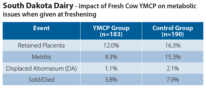 South Dakota Dairy Impact of Fresh Cow YMCP on Metabolic Issues When Given At Freshening table