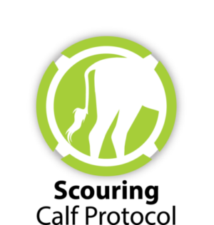 Scouring Calf Protocol logo