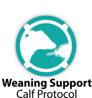 Weaning Calf Protocol logo